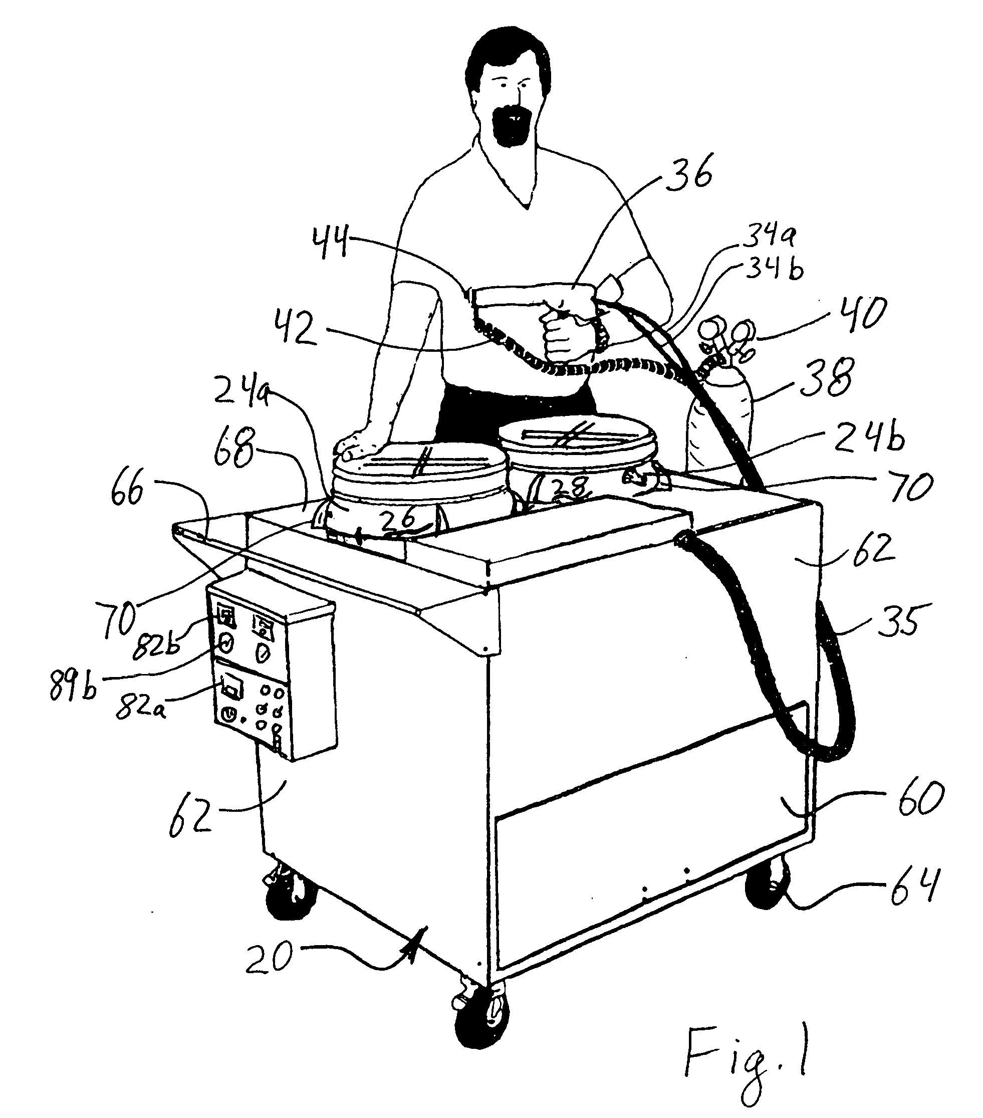 Portable spray system