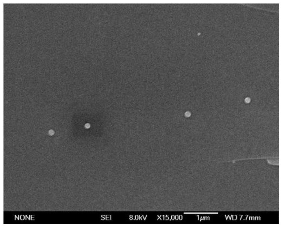 Hyaluronic acid-astaxanthin nano-composite as well as preparation method and application thereof