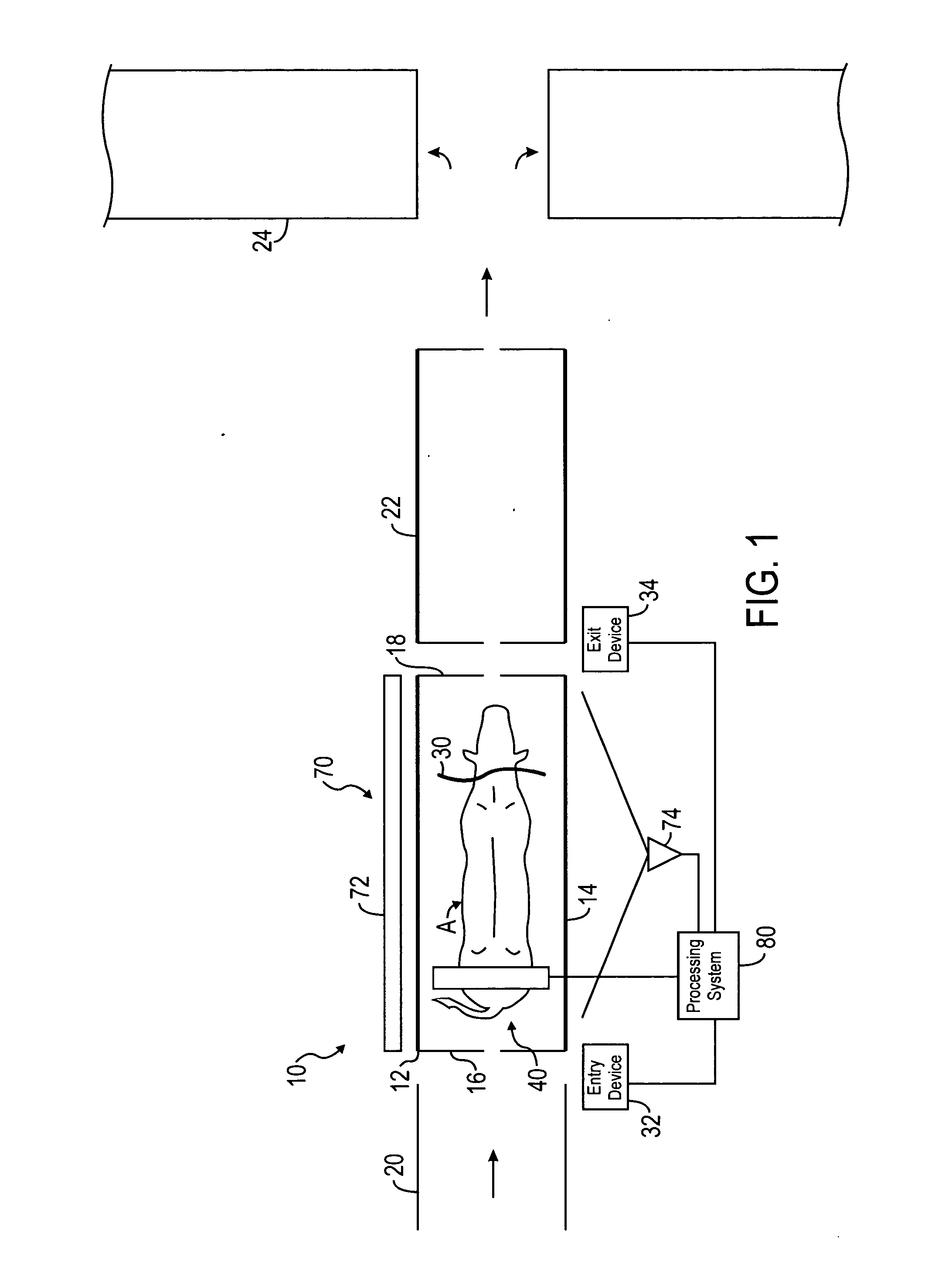 System and method for measuring animals