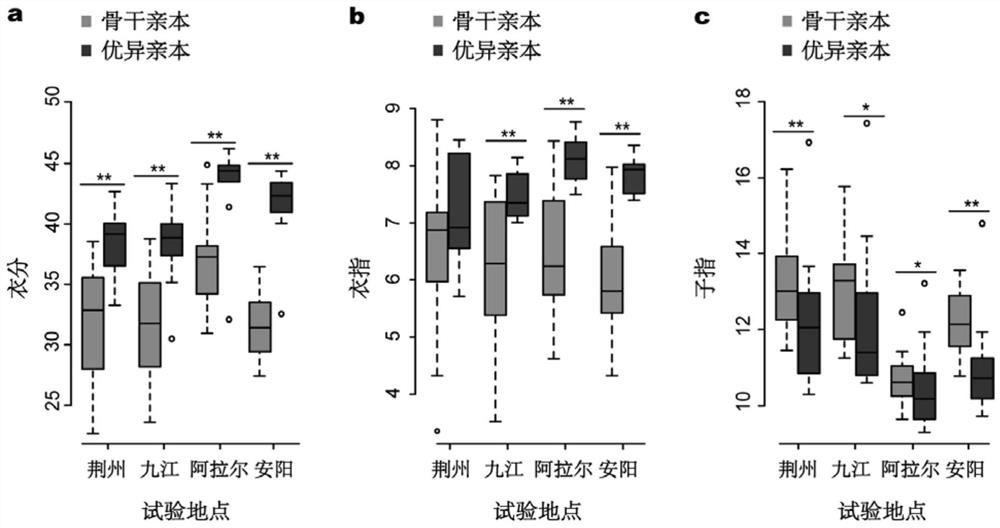 SNP markers for improving cotton coat content and identification and breeding methods for high-yielding cotton