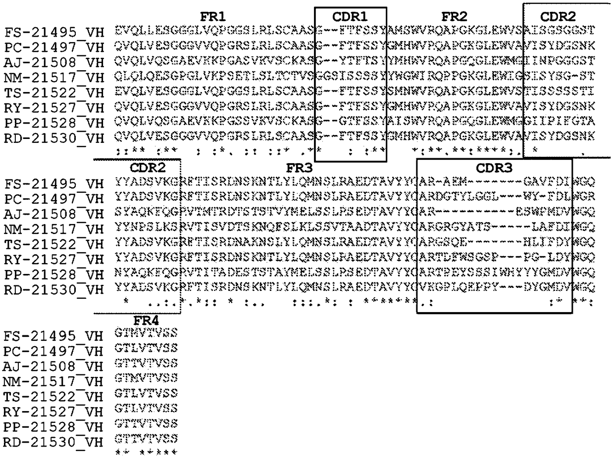 Bcma binding molecules and methods of use thereof