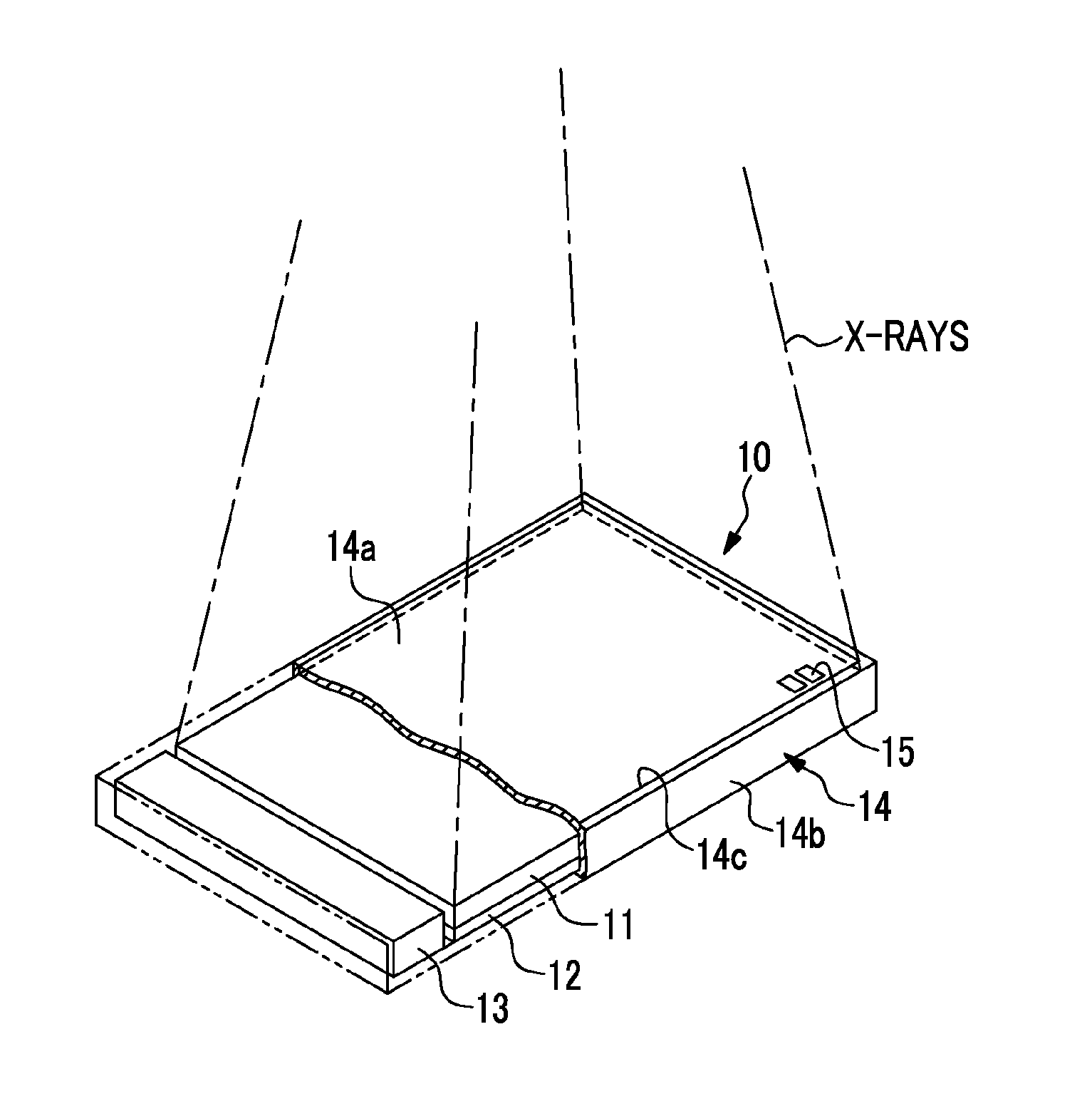 Radiological image detection apparatus and method of manufacturing the same