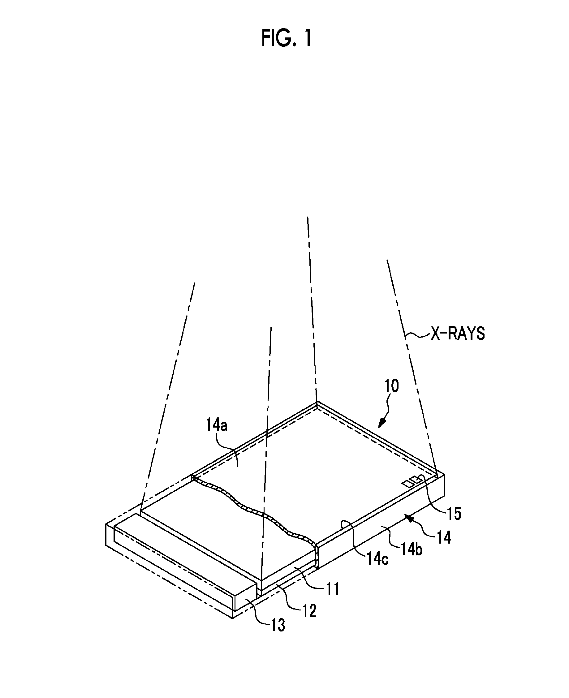 Radiological image detection apparatus and method of manufacturing the same