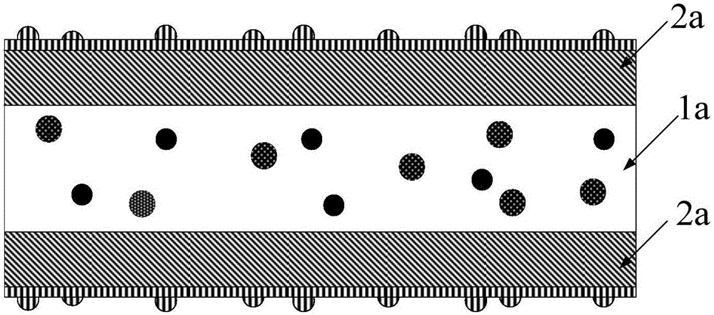 Quantum dot material as well as preparation method, quantum dot film, backlight module and display equipment