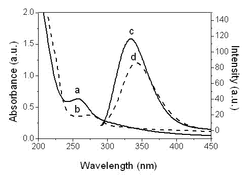 Process for control synthesis of nanometer mercuric sulfide particles based on sheep-anti-human antibody as soft template