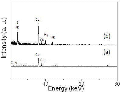 Process for control synthesis of nanometer mercuric sulfide particles based on sheep-anti-human antibody as soft template