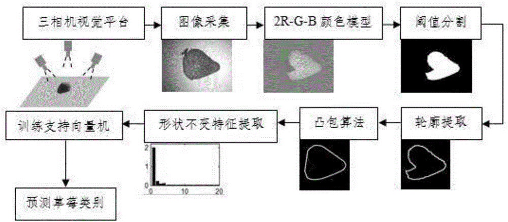 Machine vision-based strawberry appearance quality judgment method