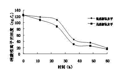 Aerobic denitrification psychrotolerant bacterium and preparation method thereof