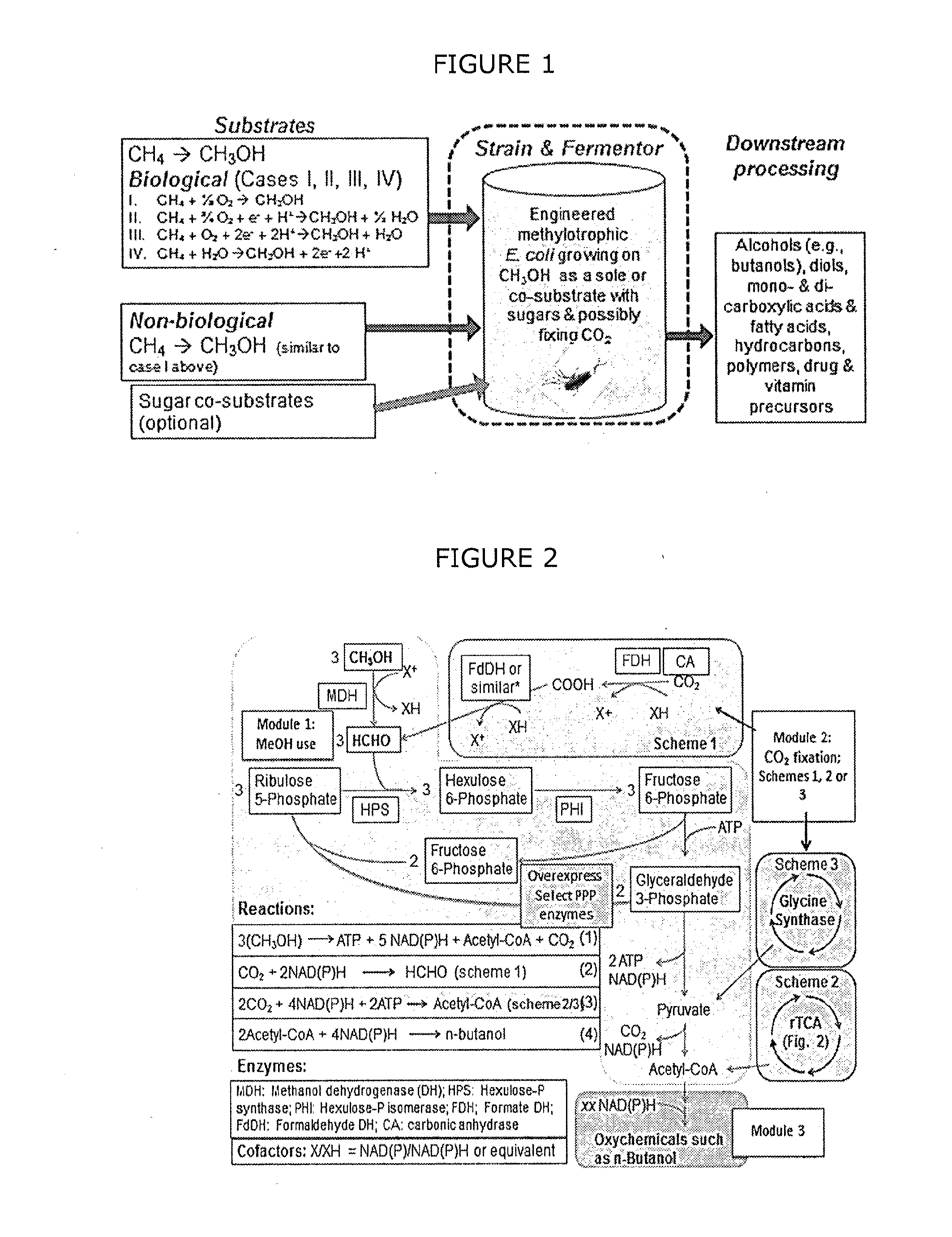 Synthetic methylotrophy to liquid fuels and chemicals