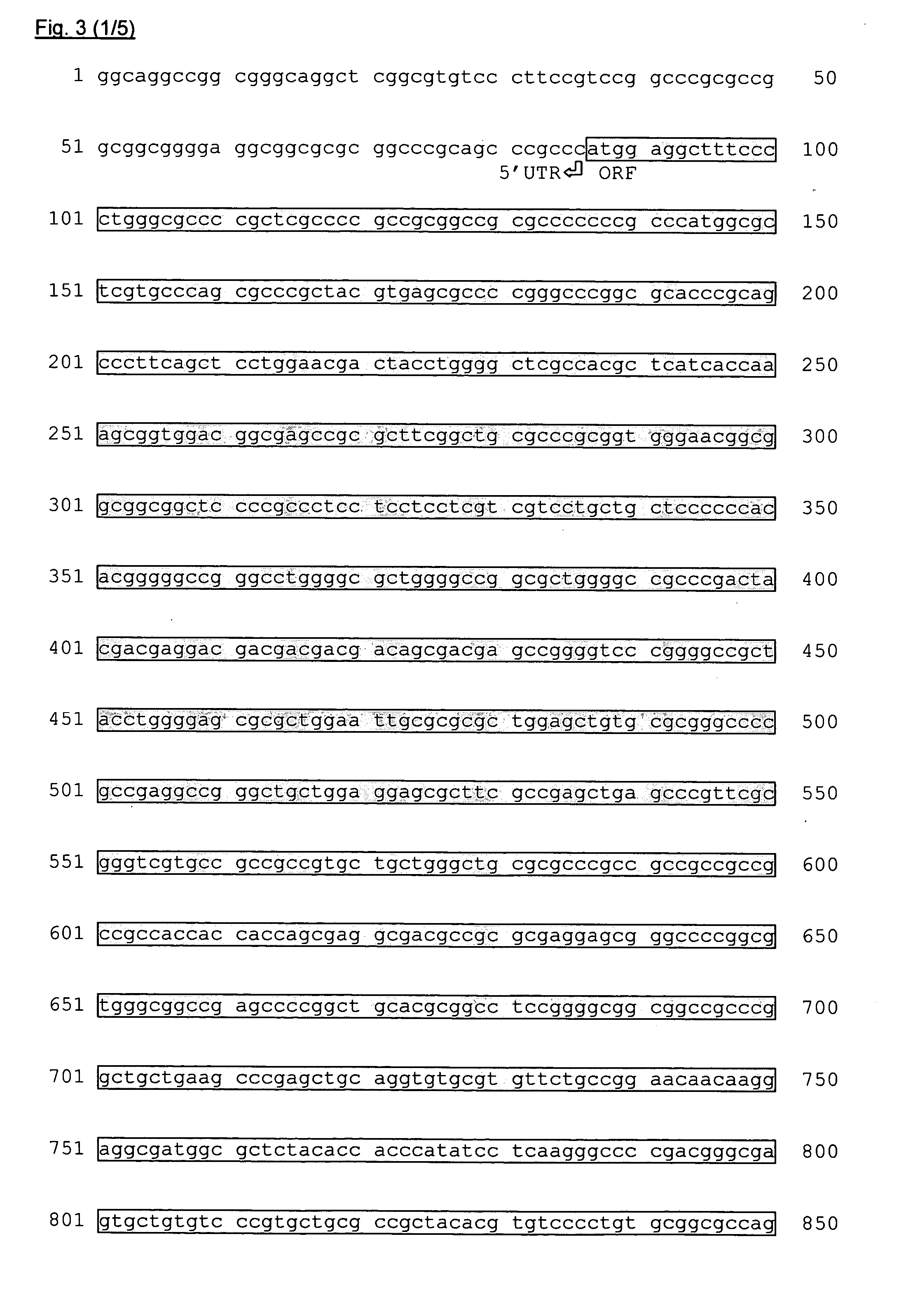 Method to control tumor progression and invasiveness