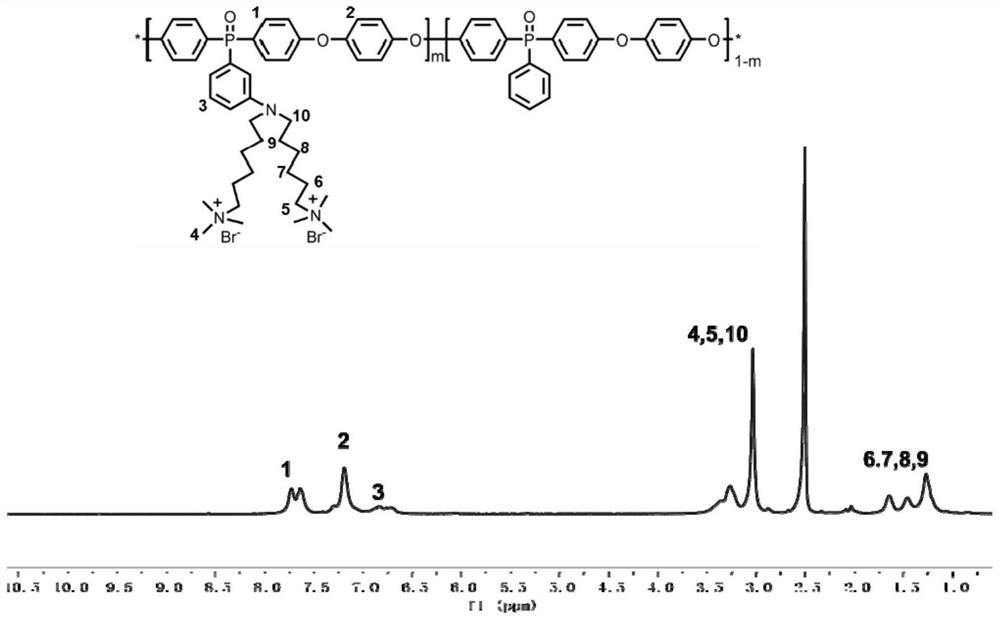 A kind of side chain type homogeneous anion exchange membrane and preparation method thereof