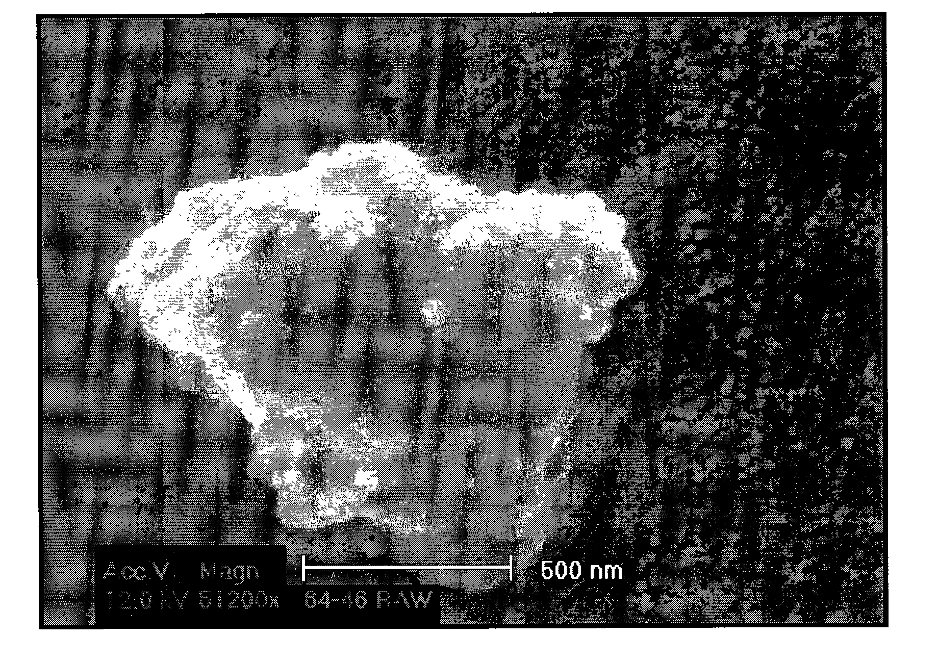 Nano-composite electrodes and method of making the same