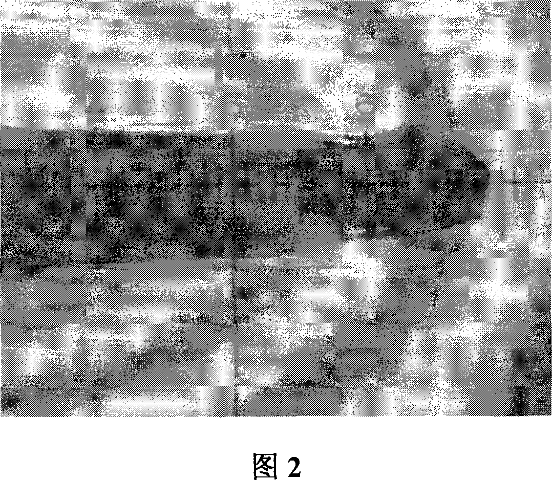 Method for local bonding silicon / glass by laser