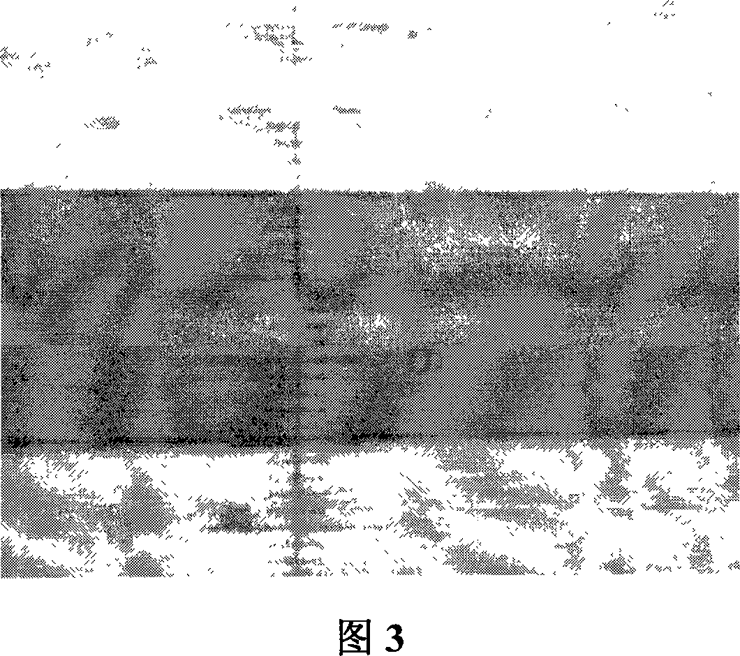 Method for local bonding silicon / glass by laser