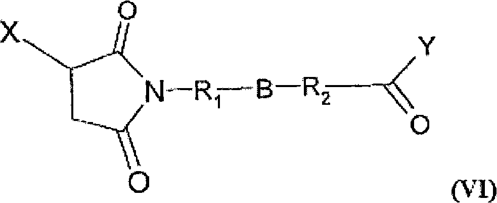 Camptothecin-peptide conjugates and pharmaceutical compositions containing the same