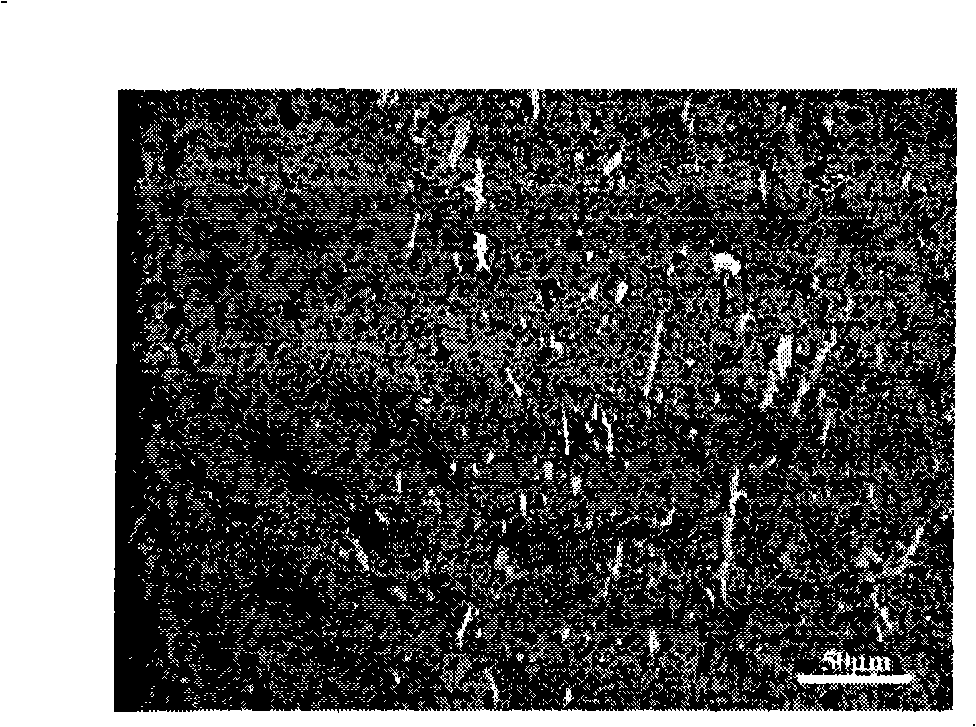 Metal ceramic inert anode for molten salt electrolysis and preparation method thereof