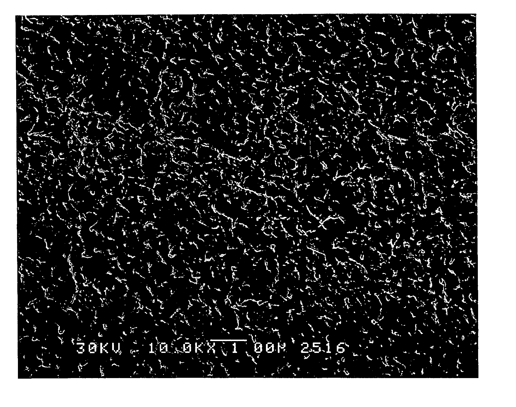 Porous poly(aryl ether ketone) membranes, processes for their preparation and use thereof