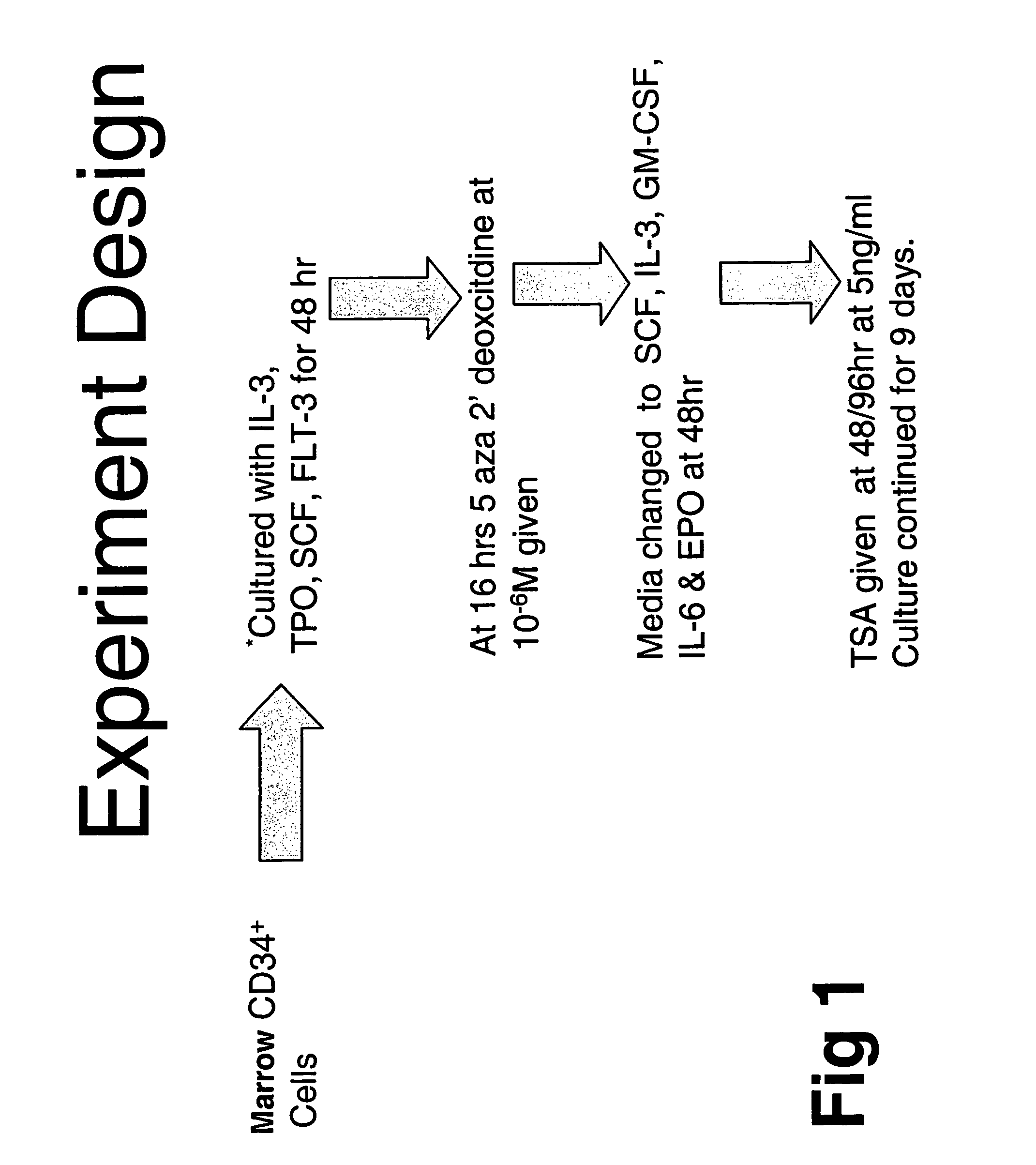 Methods for in vitro expansion of hematopoietic stem cells