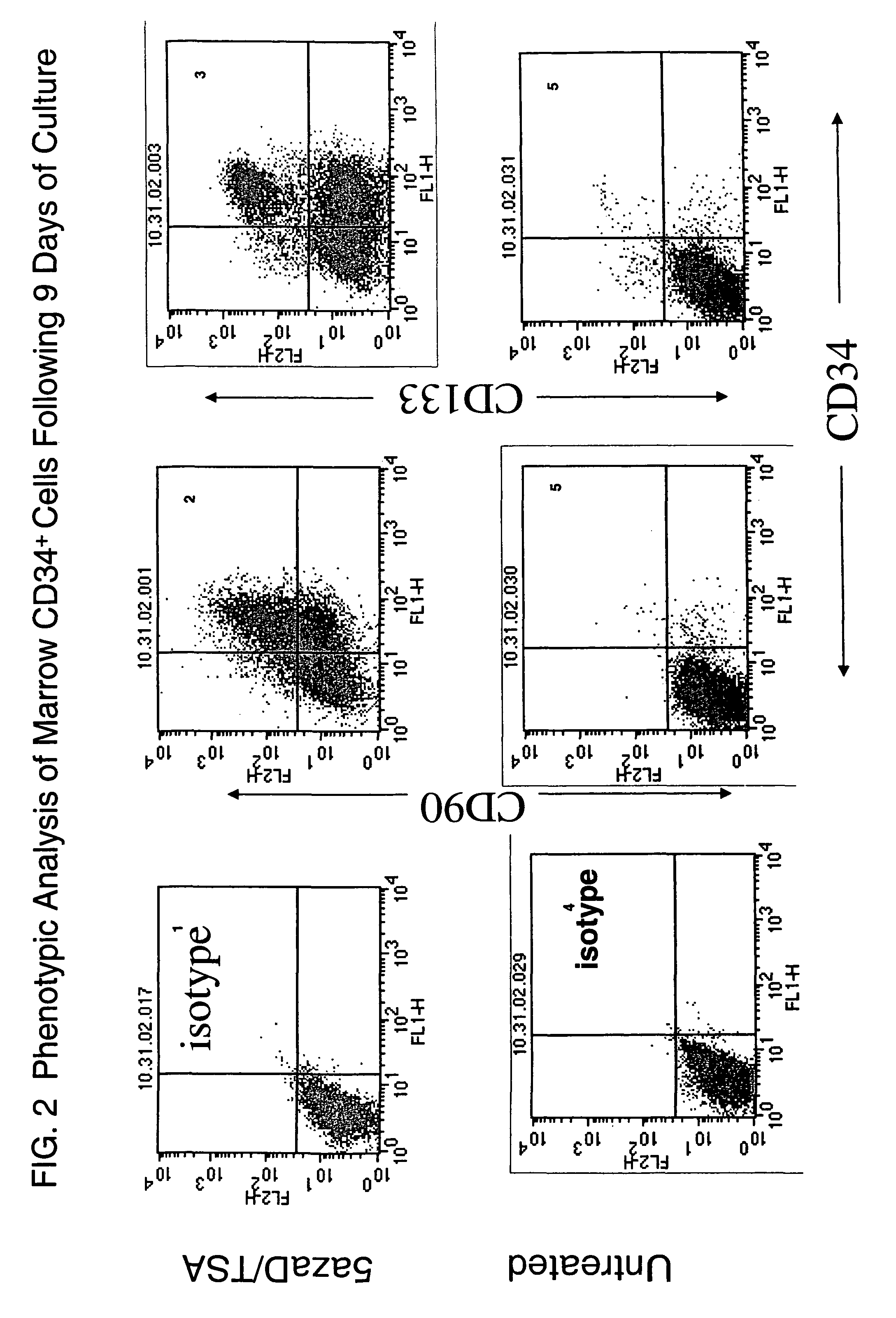 Methods for in vitro expansion of hematopoietic stem cells