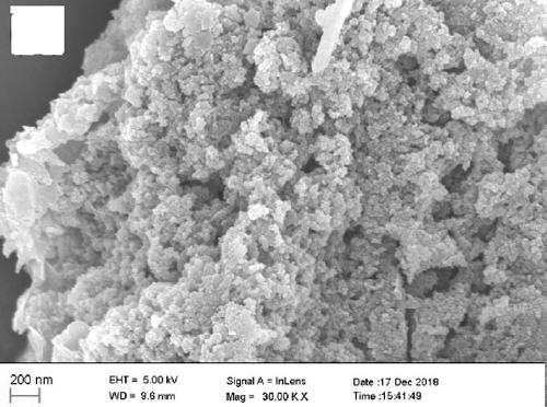 Preparation method and application of ferroferric oxide-graphite carbon nitride composite magnetic photocatalyst