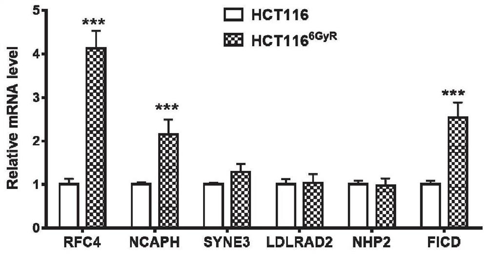 Kit for detecting cancer radiotherapy sensitivity and application thereof