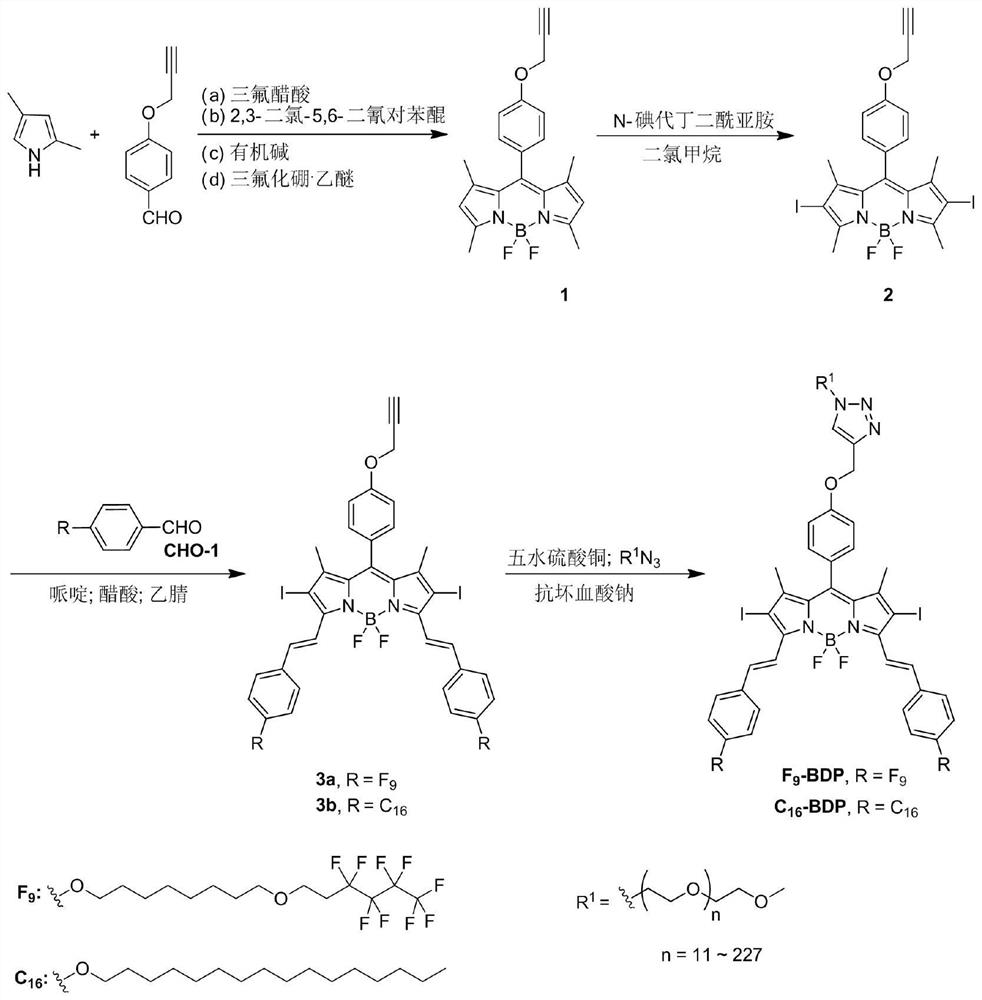 Near-infrared nano photosensitizer as well as preparation method and application thereof