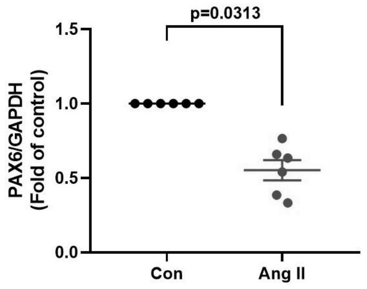 Application of pax6 gene or its expression product in preparation of medicine for inhibiting fibrosis