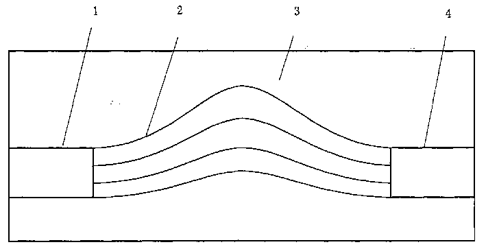 Array waveguide raster