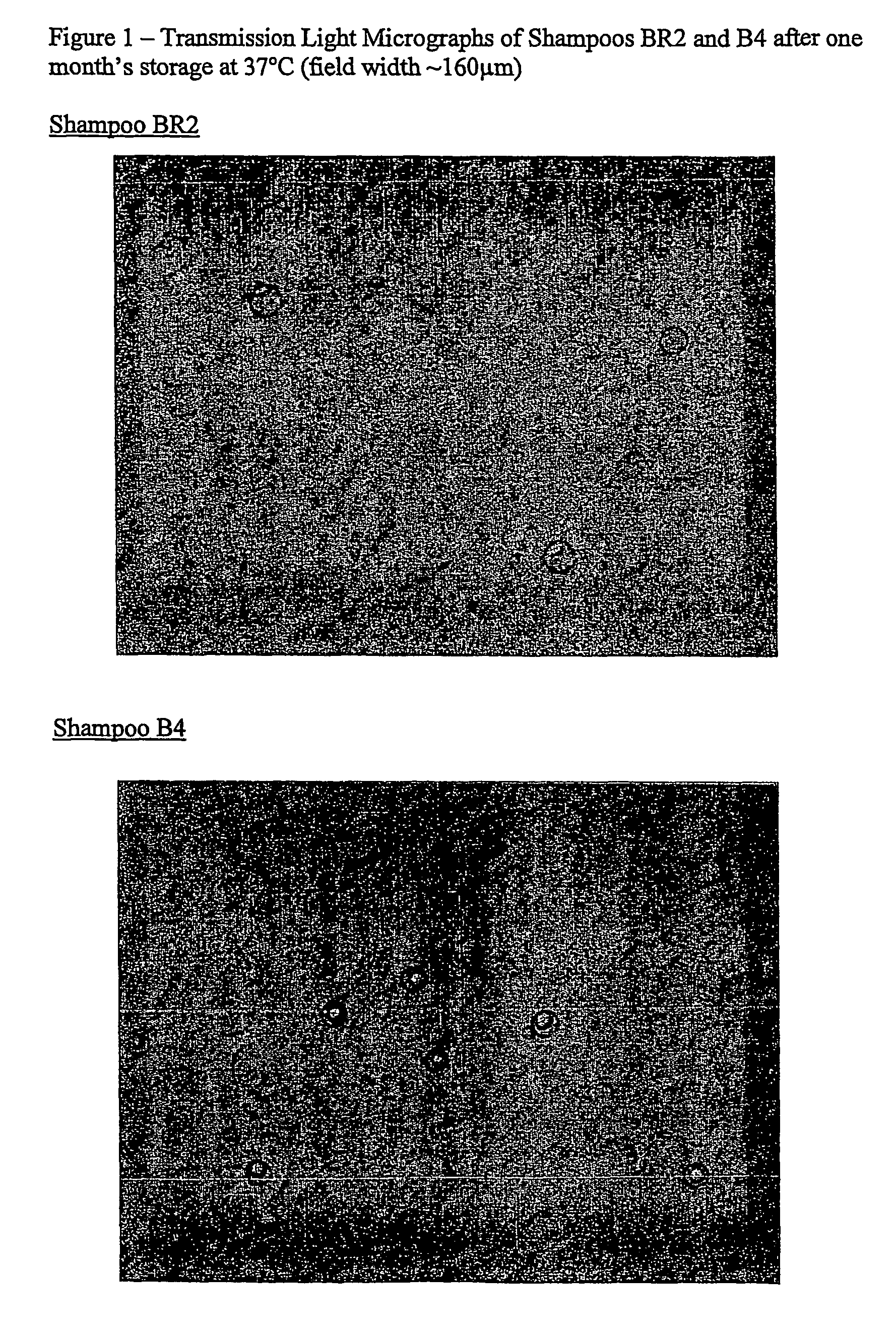 Compositions comprising encapsulated material