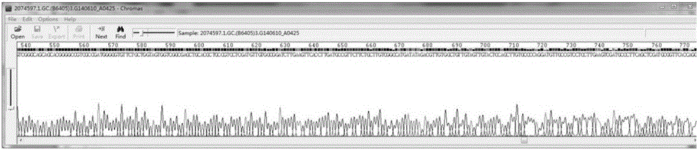 AAV9-CIP virus of expressed neurodegenerative disease protection peptide and preparation method of AAV9-CIP virus