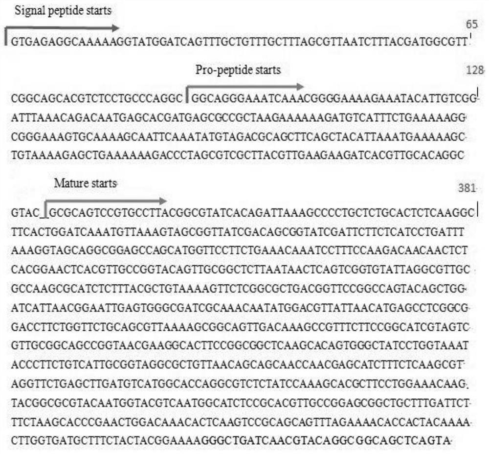 Preparation and application of thrombolytic enzyme