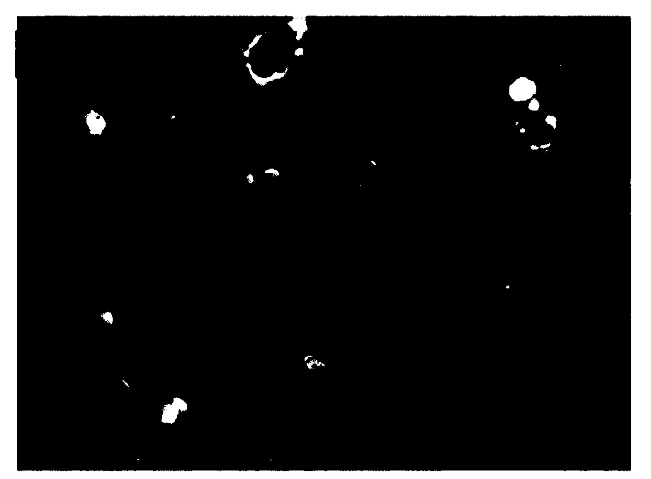 Preparation method of jet polishing micro-texture coating cutter and cutting method of coating cutter matched with minimal quantity lubrication