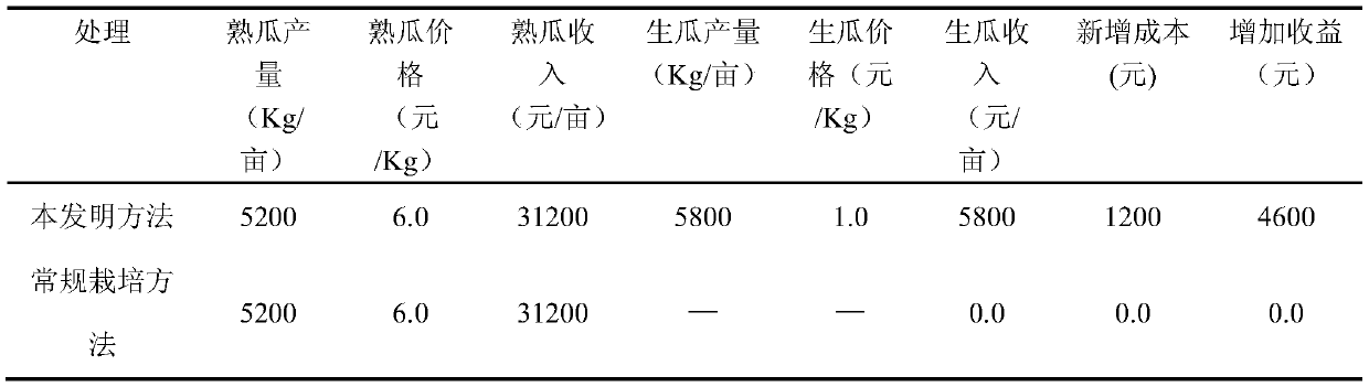 A cultivation method for harvesting both mature melons and young melons