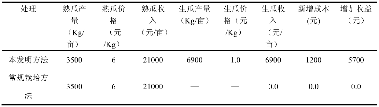 A cultivation method for harvesting both mature melons and young melons