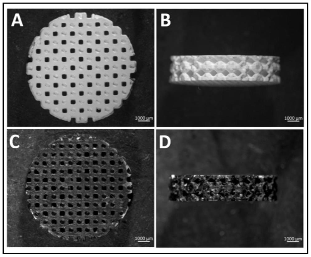 Graphene/calcium phosphate ceramic composite scaffold with antibacterial function and preparation method thereof