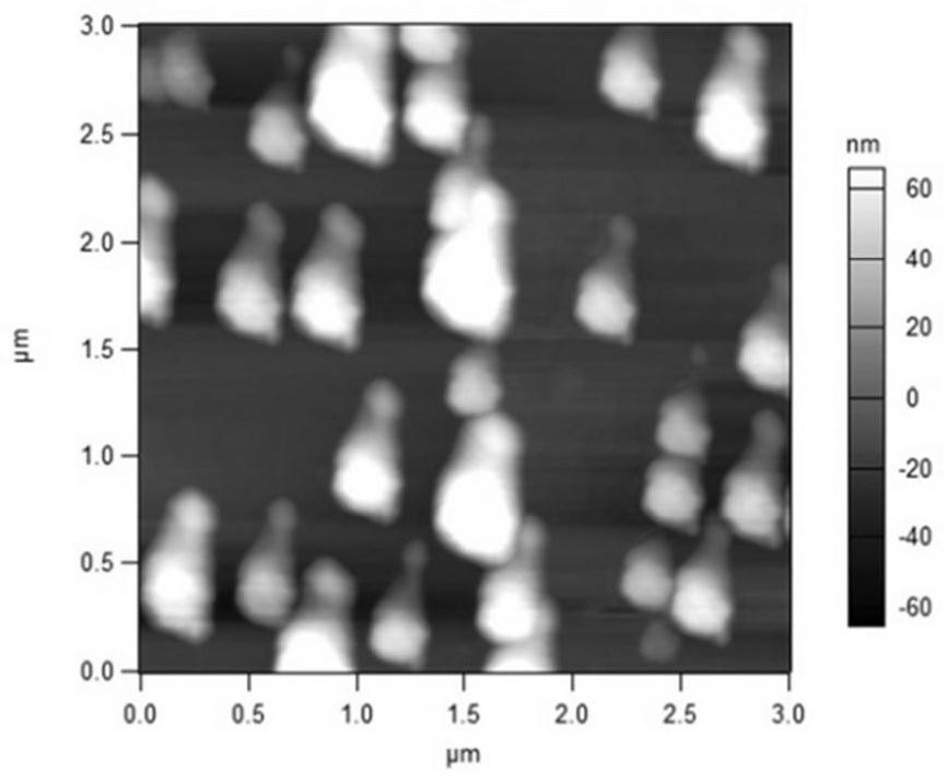 A kind of baicalin liposome and its application