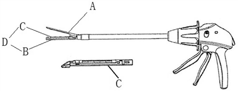 A staple cartridge assembly, anvil assembly, stapler and assembly method thereof