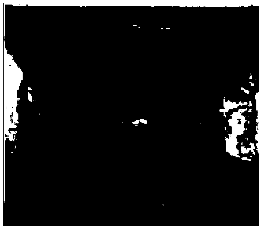 Titanium nanometer polymer alloy coating material and application method thereof