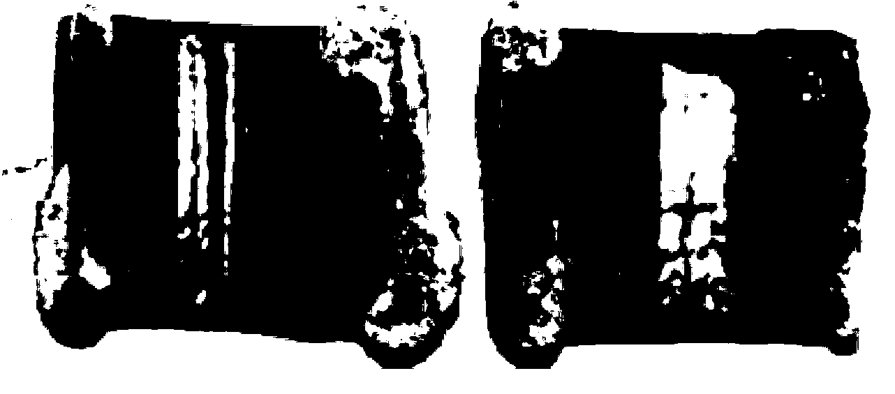 Titanium nanometer polymer alloy coating material and application method thereof