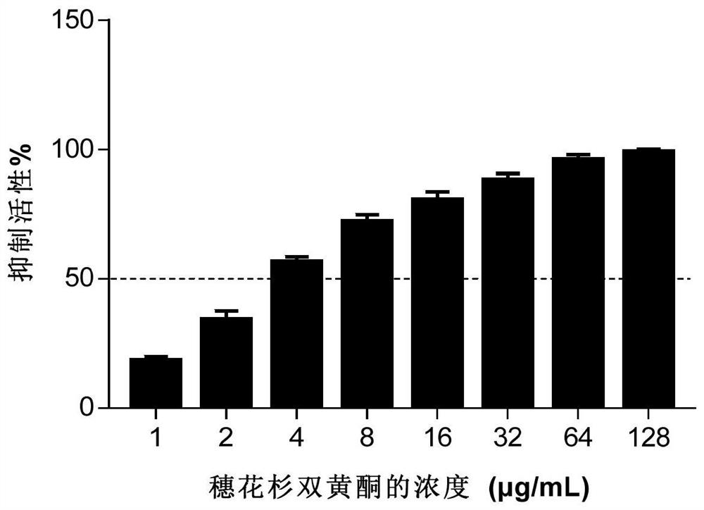 Application of amentoflavone in preparation of staphylococcus aureus MgrA inhibitor