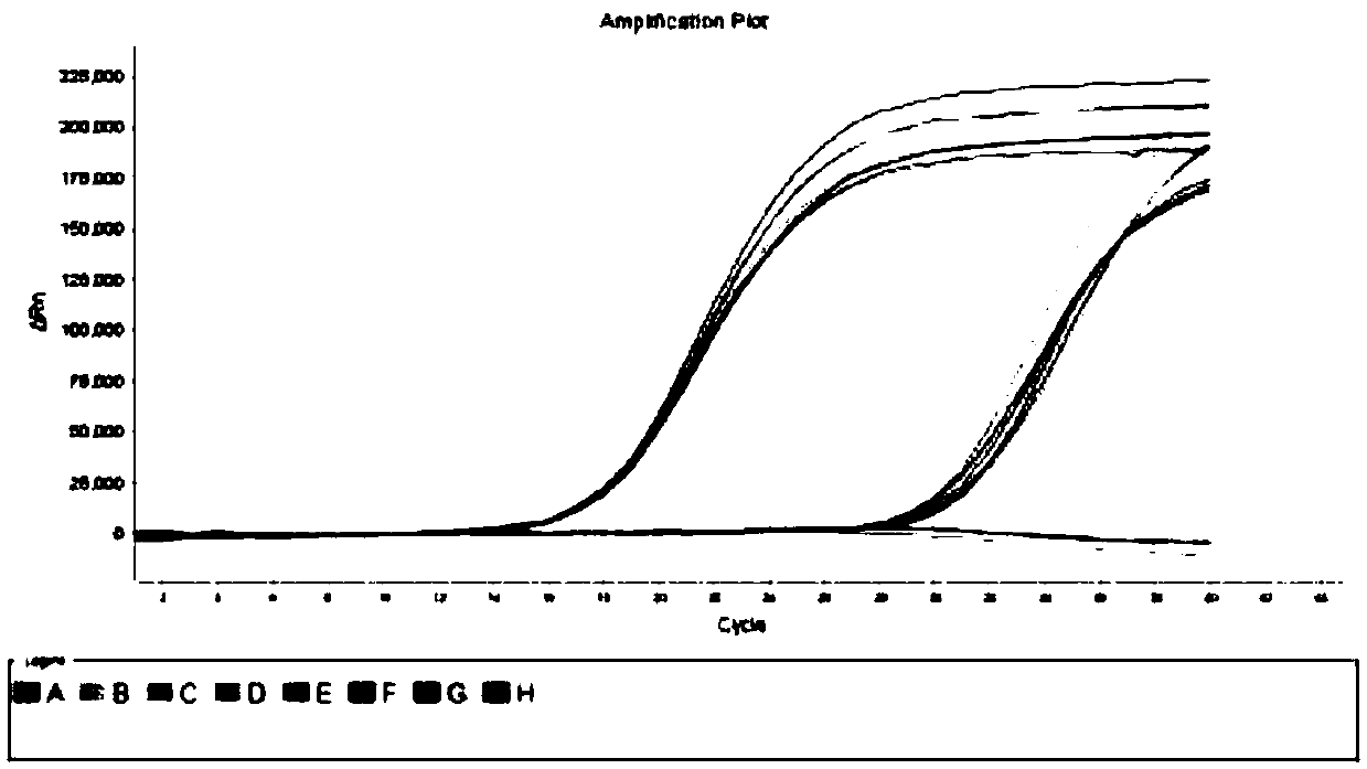 A detection kit for human parainfluenza virus nucleic acid extraction-free gene typing