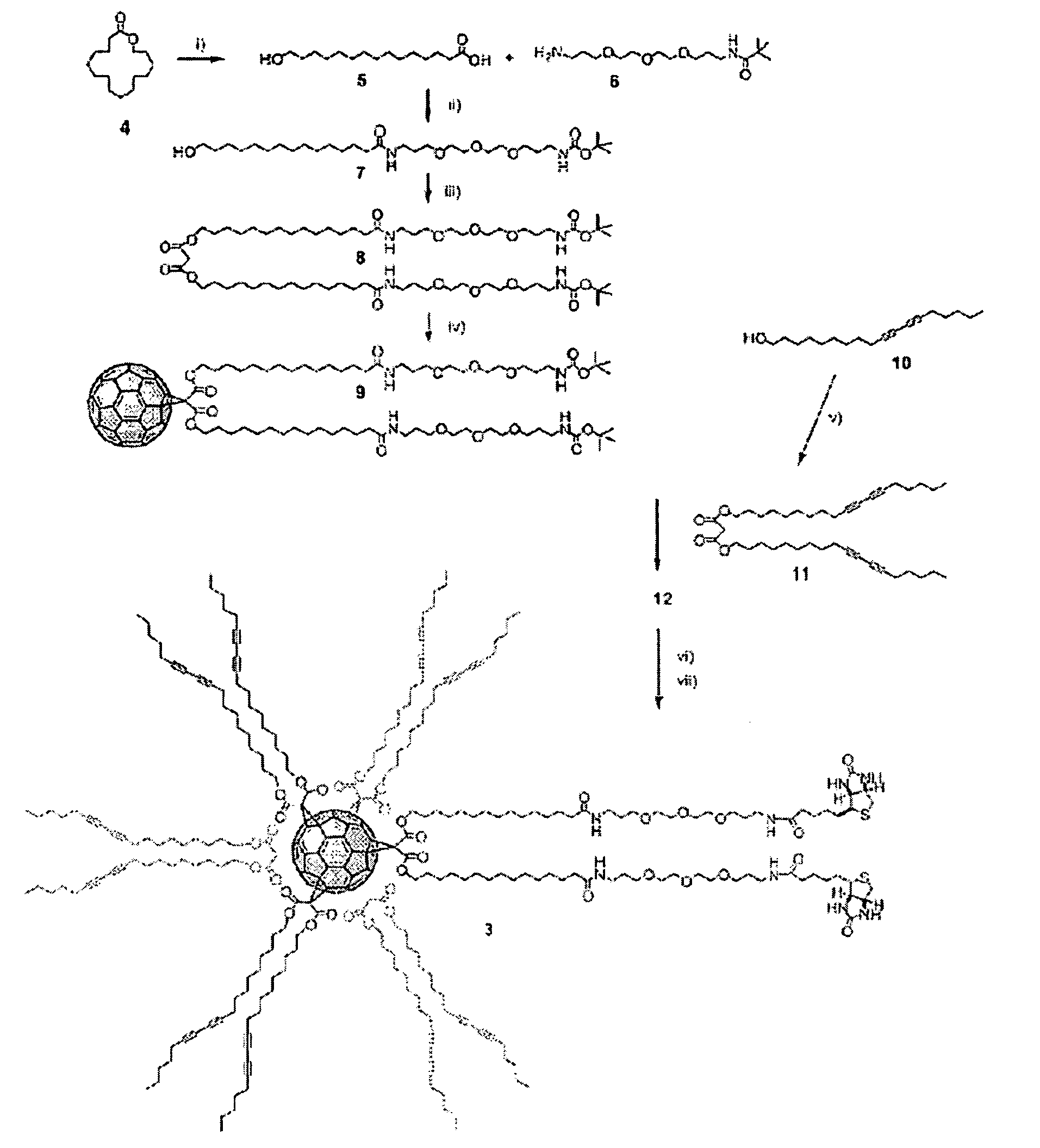 Amphiphilic [5:1]- and [3:3]- hexakisadducts of fullerenes