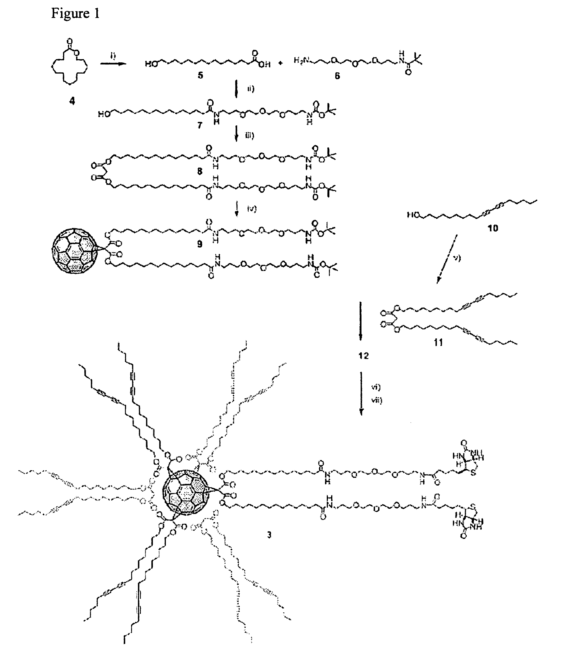 Amphiphilic [5:1]- and [3:3]- hexakisadducts of fullerenes