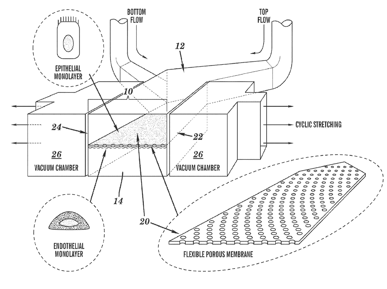 Cell culture system