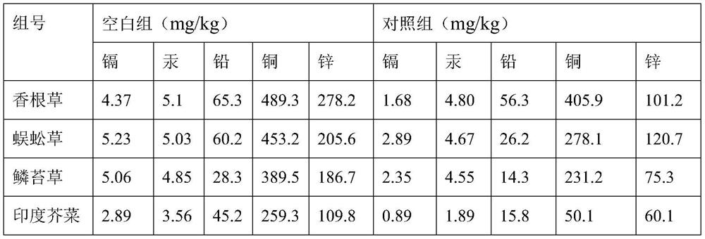 A kind of microbial preparation for repairing heavy metal polluted soil and preparation method thereof