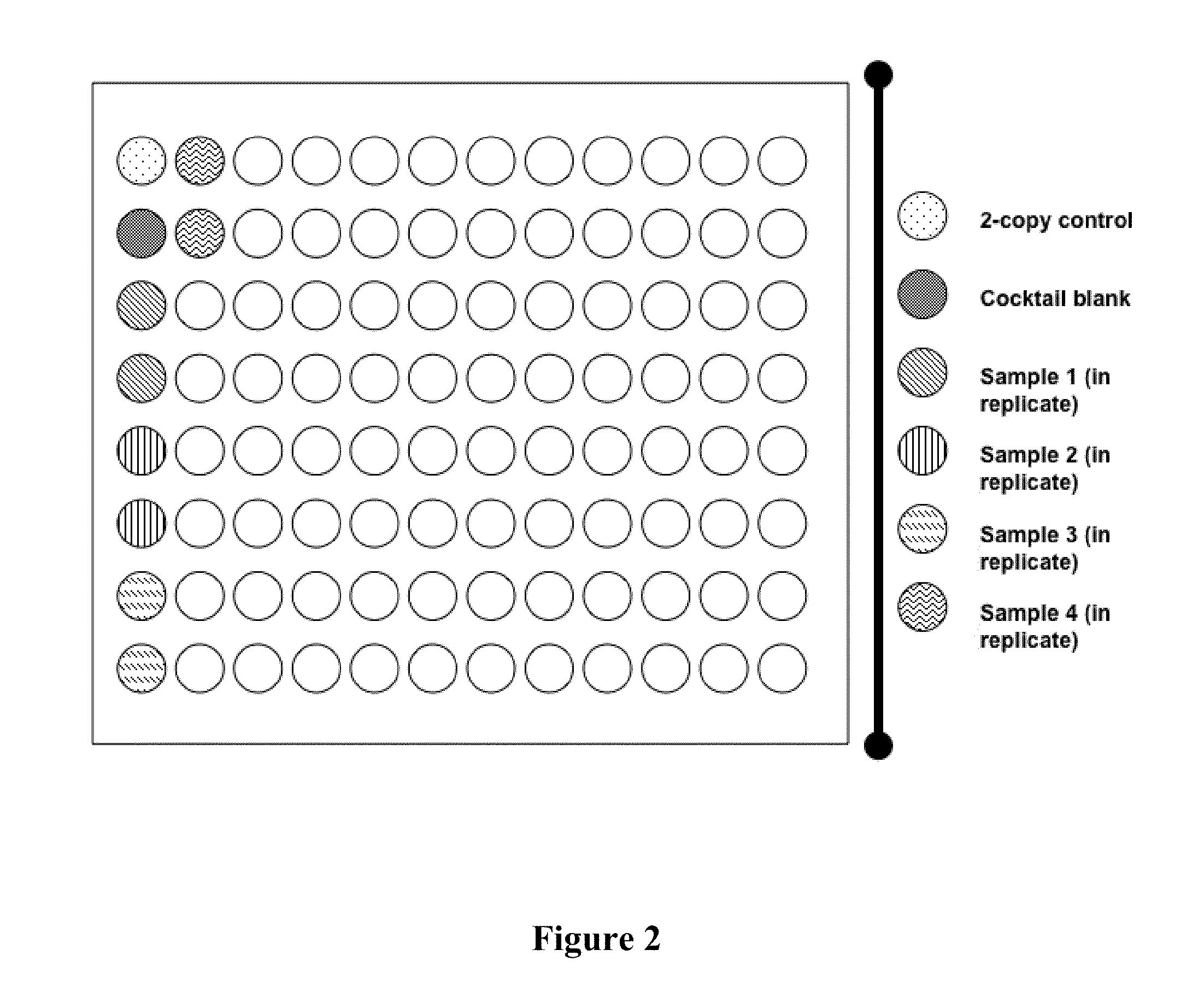 Copy number analysis of genetic locus