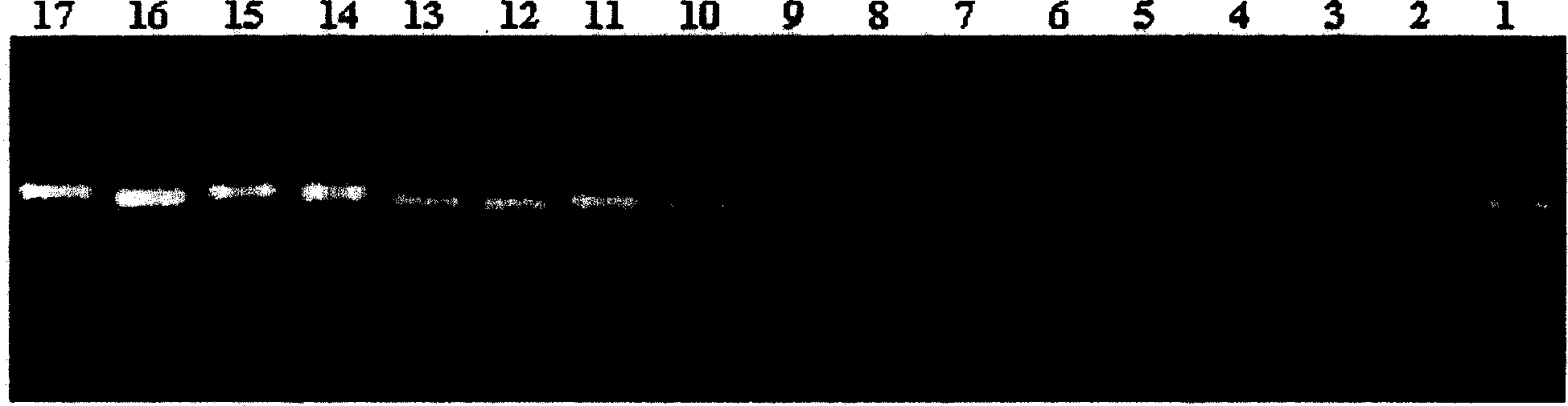 Method of detecting tuberculosis mycobacillus complex and non tuberculosis mycobacillus and its reagent box