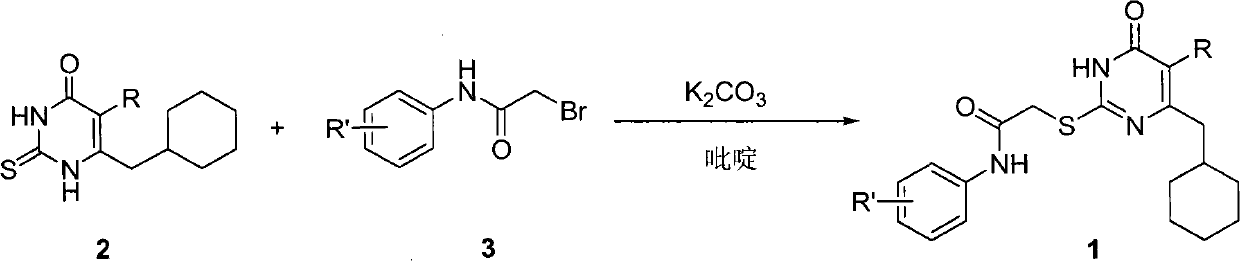 2-[(substituted phenylamino)carbonyl methylthio]-6-cyclohexylmethyl-3H-pyrimidine-4-ketone compounds, synthetic method thereof and purpose thereof