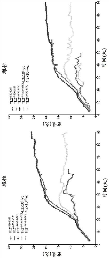 Gene therapy for diseases caused by unbalanced nucleotide pools including mitochondrial DNA depletion syndromes