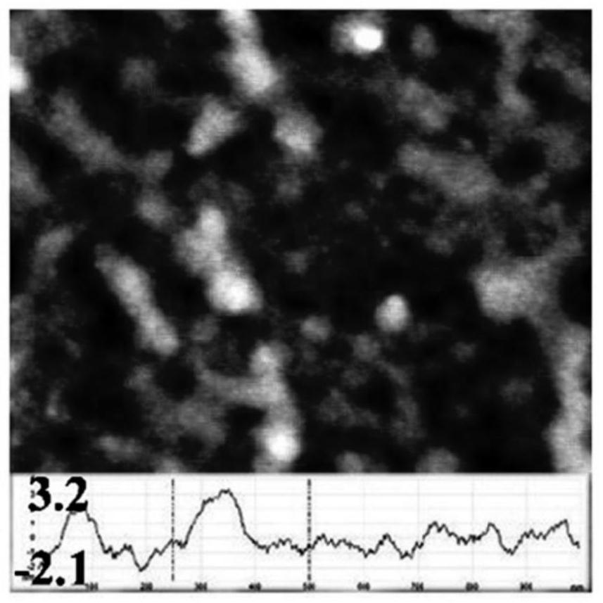 Polypeptide monolayer film with 7% of exposure quantity of primary amino groups as well as preparation method and application of polypeptide monolayer film